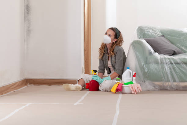 Reliable Black Mold Removal contractor in Willow Grove, TX by WQB Mold Removal